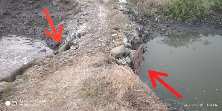 NatConnect Foundation